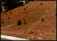 Owner maintained slope